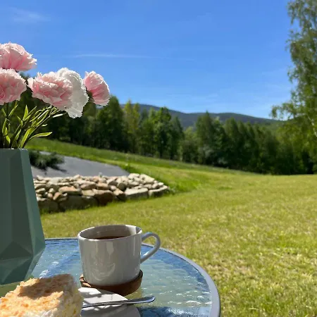 Apartament Na Wzgorzu 2, Sauny, Ebike, Las, Widok- 5d 아파트